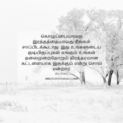 Picture 07 - லேவியராகமம் 3:17 TAMIRV - கொழுப்பையாவது - Bible Verse Picture