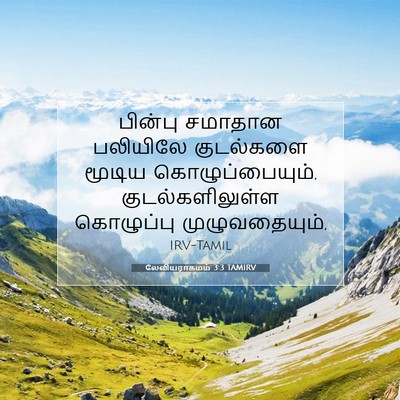 Picture 07 - லேவியராகமம் 3:3 TAMIRV - பின்பு சமாதான - Bible Verse Picture