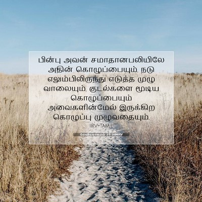 Picture 07 - லேவியராகமம் 3:9 TAMIRV - பின்பு அவன் - Bible Verse Picture