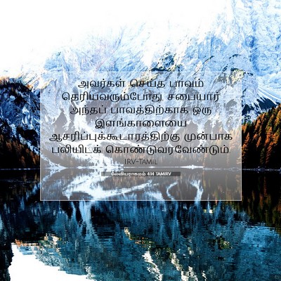 Picture 07 - லேவியராகமம் 4:14 TAMIRV - அவர்கள் செய்த - Bible Verse Picture