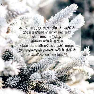 Picture 07 - லேவியராகமம் 4:25 TAMIRV - அப்பொழுது - Bible Verse Picture