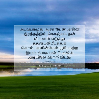 Picture 07 - லேவியராகமம் 4:30 TAMIRV - அப்பொழுது - Bible Verse Picture