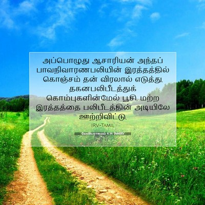 Picture 07 - லேவியராகமம் 4:34 TAMIRV - அப்பொழுது - Bible Verse Picture