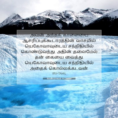 Picture 07 - லேவியராகமம் 4:4 TAMIRV - அவன் அந்தக் - Bible Verse Picture