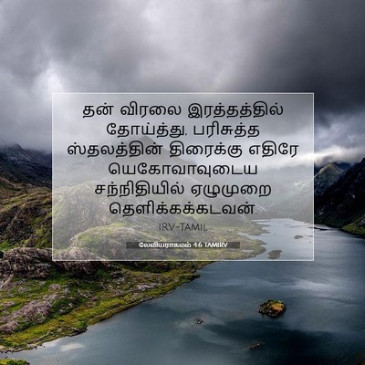 Picture 07 - லேவியராகமம் 4:6 TAMIRV - தன் விரலை - Bible Verse Picture