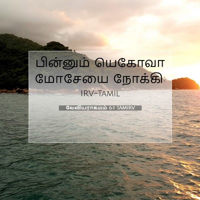 Picture 07 - லேவியராகமம் 6:1 TAMIRV - பின்னும் யெகோவா - Bible Verse Picture