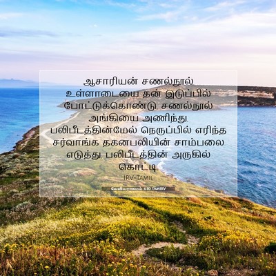 Picture 07 - லேவியராகமம் 6:10 TAMIRV - ஆசாரியன் சணல்நூல் - Bible Verse Picture
