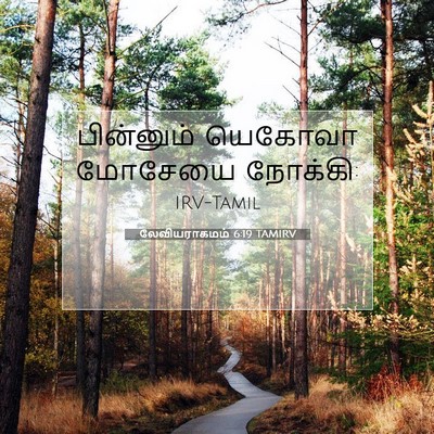 Picture 07 - லேவியராகமம் 6:19 TAMIRV - பின்னும் யெகோவா - Bible Verse Picture