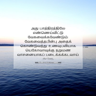 Picture 07 - லேவியராகமம் 6:21 TAMIRV - அது பாத்திரத்திலே - Bible Verse Picture