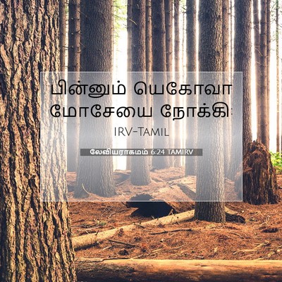 Picture 07 - லேவியராகமம் 6:24 TAMIRV - பின்னும் யெகோவா - Bible Verse Picture