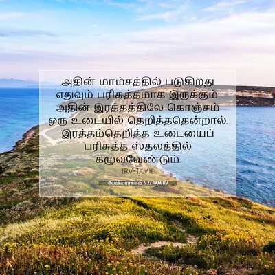 Picture 07 - லேவியராகமம் 6:27 TAMIRV - அதின் மாம்சத்தில் - Bible Verse Picture