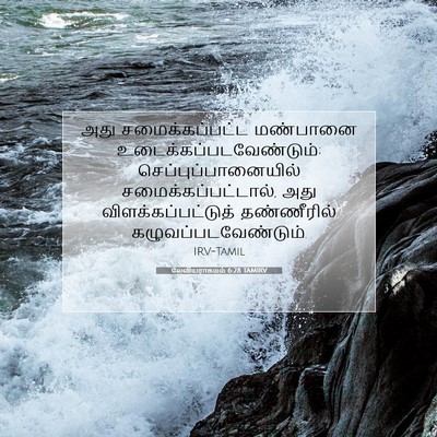Picture 07 - லேவியராகமம் 6:28 TAMIRV - அது சமைக்கப்பட்ட - Bible Verse Picture