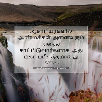Picture 07 - லேவியராகமம் 6:29 TAMIRV - ஆசாரியர்களில் - Bible Verse Picture