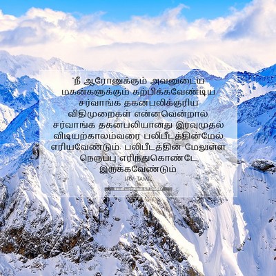 Picture 07 - லேவியராகமம் 6:9 TAMIRV - “நீ ஆரோனுக்கும் - Bible Verse Picture