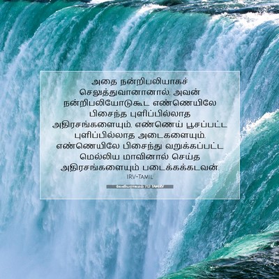 Picture 07 - லேவியராகமம் 7:12 TAMIRV - அதை நன்றிபலியாகச் - Bible Verse Picture
