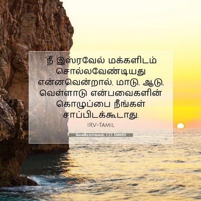 Picture 07 - லேவியராகமம் 7:23 TAMIRV - “நீ இஸ்ரவேல் - Bible Verse Picture