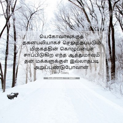 Picture 07 - லேவியராகமம் 7:25 TAMIRV - யெகோவாவுக்குத் - Bible Verse Picture