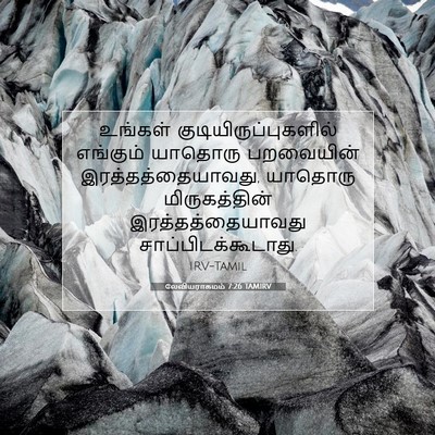 Picture 07 - லேவியராகமம் 7:26 TAMIRV - உங்கள் - Bible Verse Picture