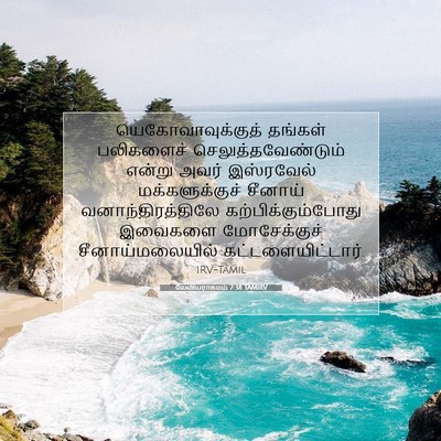 Picture 07 - லேவியராகமம் 7:38 TAMIRV - யெகோவாவுக்குத் - Bible Verse Picture