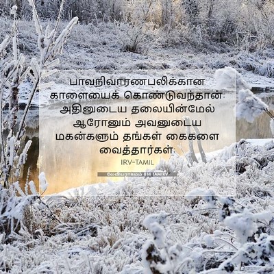 Picture 07 - லேவியராகமம் 8:14 TAMIRV -  - Bible Verse Picture