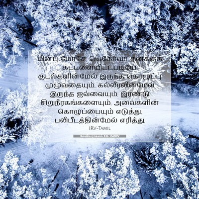 Picture 07 - லேவியராகமம் 8:16 TAMIRV - பின்பு மோசே, - Bible Verse Picture