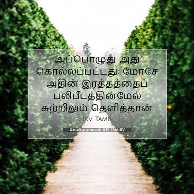 Picture 07 - லேவியராகமம் 8:19 TAMIRV - அப்பொழுது அது - Bible Verse Picture