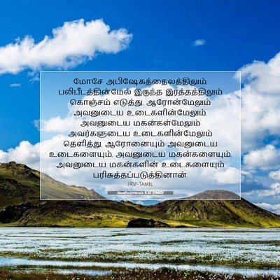 Picture 07 - லேவியராகமம் 8:30 TAMIRV - மோசே - Bible Verse Picture