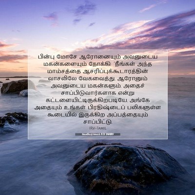 Picture 07 - லேவியராகமம் 8:31 TAMIRV - பின்பு மோசே - Bible Verse Picture