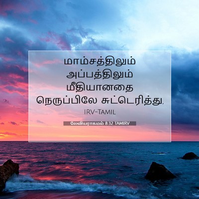 Picture 07 - லேவியராகமம் 8:32 TAMIRV - மாம்சத்திலும் - Bible Verse Picture