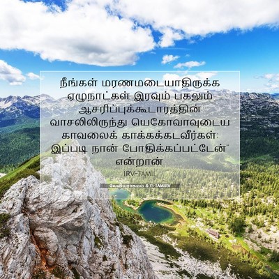 Picture 07 - லேவியராகமம் 8:35 TAMIRV - நீங்கள் - Bible Verse Picture