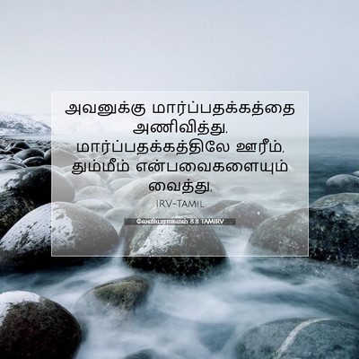 Picture 07 - லேவியராகமம் 8:8 TAMIRV - அவனுக்கு - Bible Verse Picture