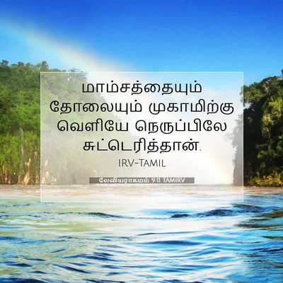 Picture 07 - லேவியராகமம் 9:11 TAMIRV - மாம்சத்தையும் - Bible Verse Picture