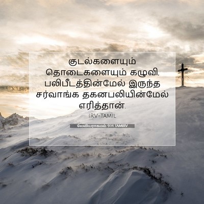 Picture 07 - லேவியராகமம் 9:14 TAMIRV - குடல்களையும் - Bible Verse Picture