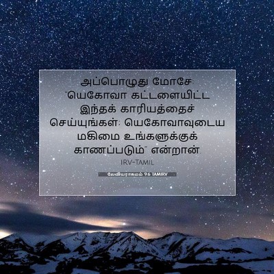 Picture 07 - லேவியராகமம் 9:6 TAMIRV - அப்பொழுது மோசே: - Bible Verse Picture