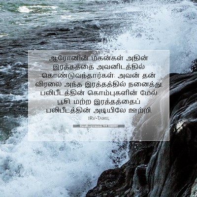 Picture 07 - லேவியராகமம் 9:9 TAMIRV - ஆரோனின் மகன்கள் - Bible Verse Picture