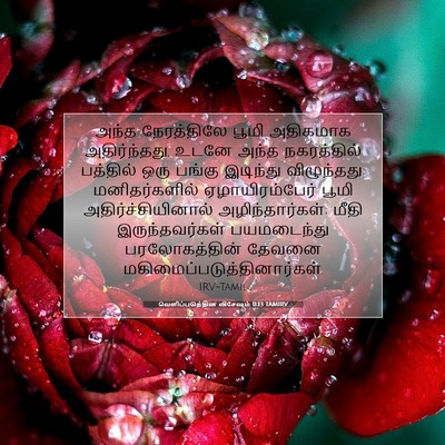 Picture 07 - வெளிப்படுத்தின விசேஷம் 11:13 TAMIRV - அந்த நேரத்திலே - Bible Verse Picture