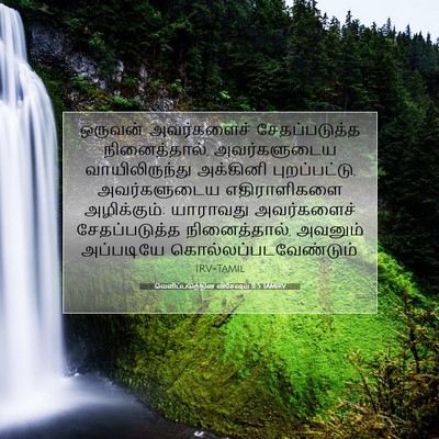 Picture 07 - வெளிப்படுத்தின விசேஷம் 11:5 TAMIRV - ஒருவன் அவர்களைச் - Bible Verse Picture