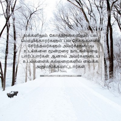 Picture 07 - வெளிப்படுத்தின விசேஷம் 11:9 TAMIRV - மக்களிலும், - Bible Verse Picture