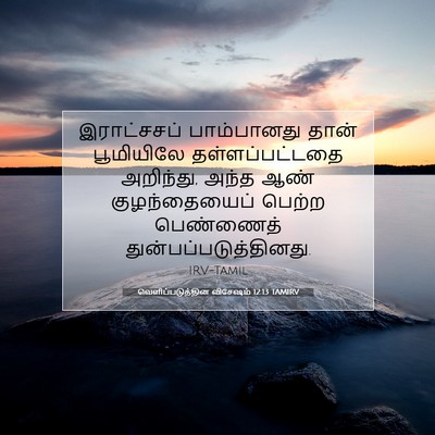Picture 07 - வெளிப்படுத்தின விசேஷம் 12:13 TAMIRV - இராட்சசப் - Bible Verse Picture