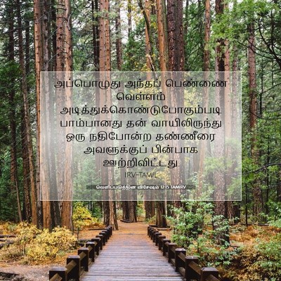 Picture 07 - வெளிப்படுத்தின விசேஷம் 12:15 TAMIRV - அப்பொழுது அந்தப் - Bible Verse Picture