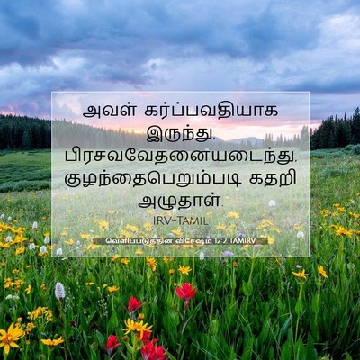 Picture 07 - வெளிப்படுத்தின விசேஷம் 12:2 TAMIRV - அவள் கர்ப்பவதியாக - Bible Verse Picture