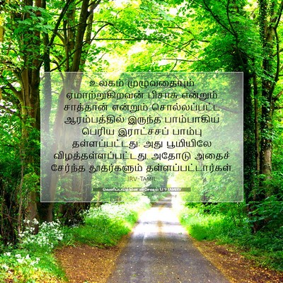 Picture 07 - வெளிப்படுத்தின விசேஷம் 12:9 TAMIRV - உலகம் முழுவதையும் - Bible Verse Picture