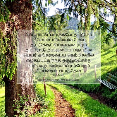Picture 07 - வெளிப்படுத்தின விசேஷம் 14:1 TAMIRV - பின்பு நான் - Bible Verse Picture