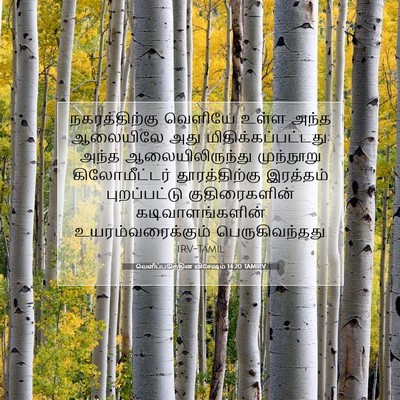 Picture 07 - வெளிப்படுத்தின விசேஷம் 14:20 TAMIRV - நகரத்திற்கு - Bible Verse Picture