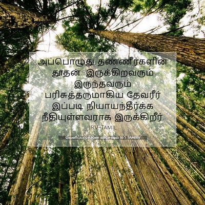 Picture 07 - வெளிப்படுத்தின விசேஷம் 16:5 TAMIRV - அப்பொழுது - Bible Verse Picture