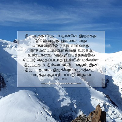Picture 07 - வெளிப்படுத்தின விசேஷம் 17:8 TAMIRV - நீ பார்த்த - Bible Verse Picture