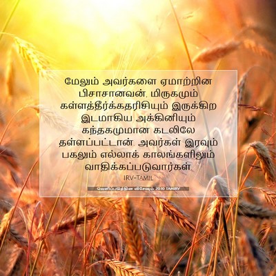 Picture 07 - வெளிப்படுத்தின விசேஷம் 20:10 TAMIRV - மேலும் அவர்களை - Bible Verse Picture