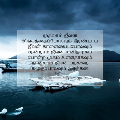 Picture 07 - வெளிப்படுத்தின விசேஷம் 4:7 TAMIRV - முதலாம் ஜீவன் - Bible Verse Picture