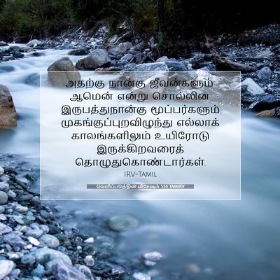 Picture 07 - வெளிப்படுத்தின விசேஷம் 5:14 TAMIRV - அதற்கு நான்கு - Bible Verse Picture