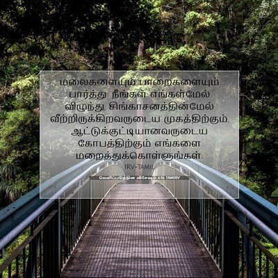 Picture 07 - வெளிப்படுத்தின விசேஷம் 6:16 TAMIRV - மலைகளையும் - Bible Verse Picture